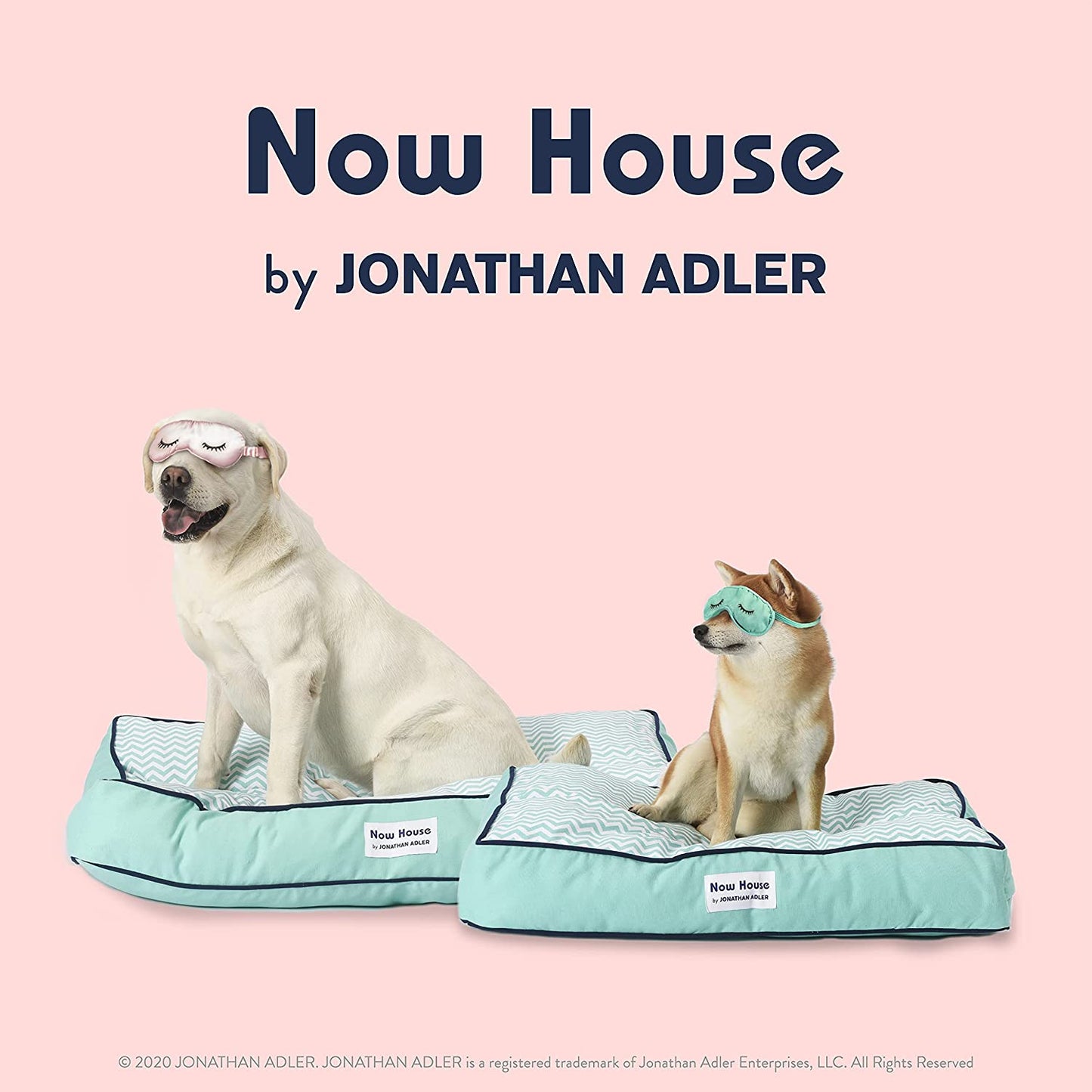 Now House for Pets Teal Chevron Cushion Dog Bed, Large: Machine Washable Dog Bed for Large Dogs by